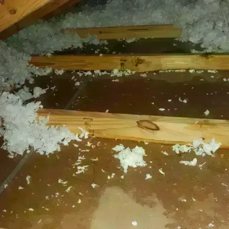 Attic Water Damage in Lanier County, GA